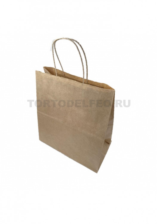 Пакет Бумажный с ручками 22*12*25см